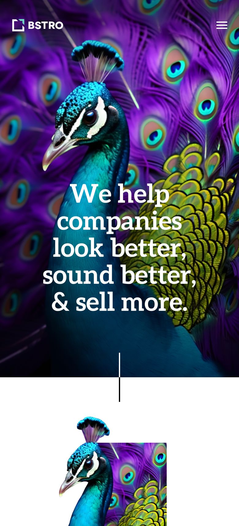 BSTRO mobile version homepage