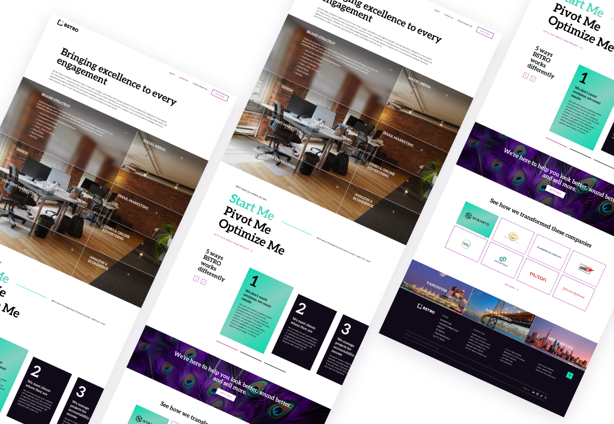 BSTRO expertise page snippets
