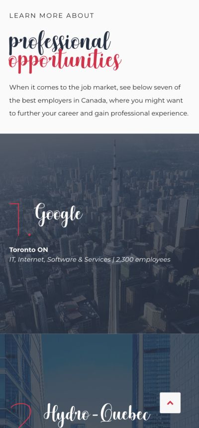 Dream Journey Immigration mobile version work permit page