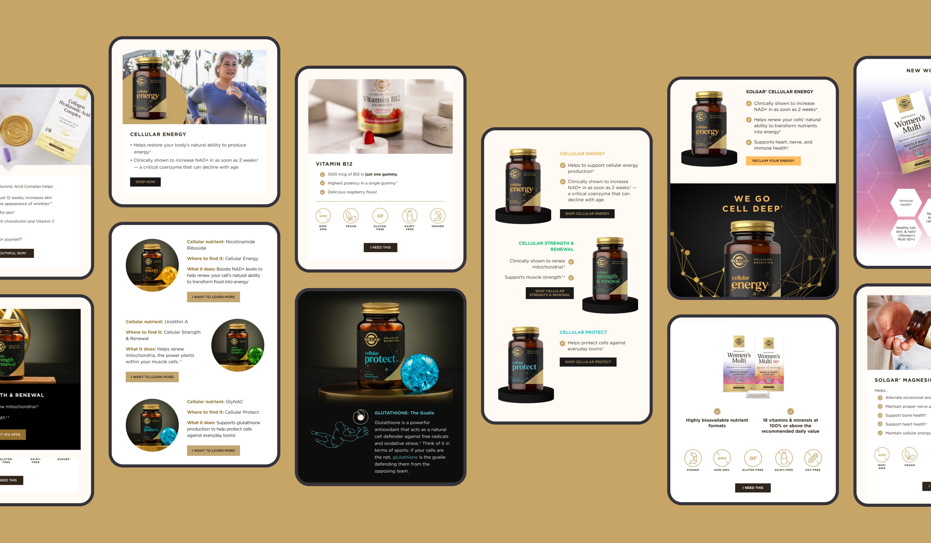 Solgar email highlight