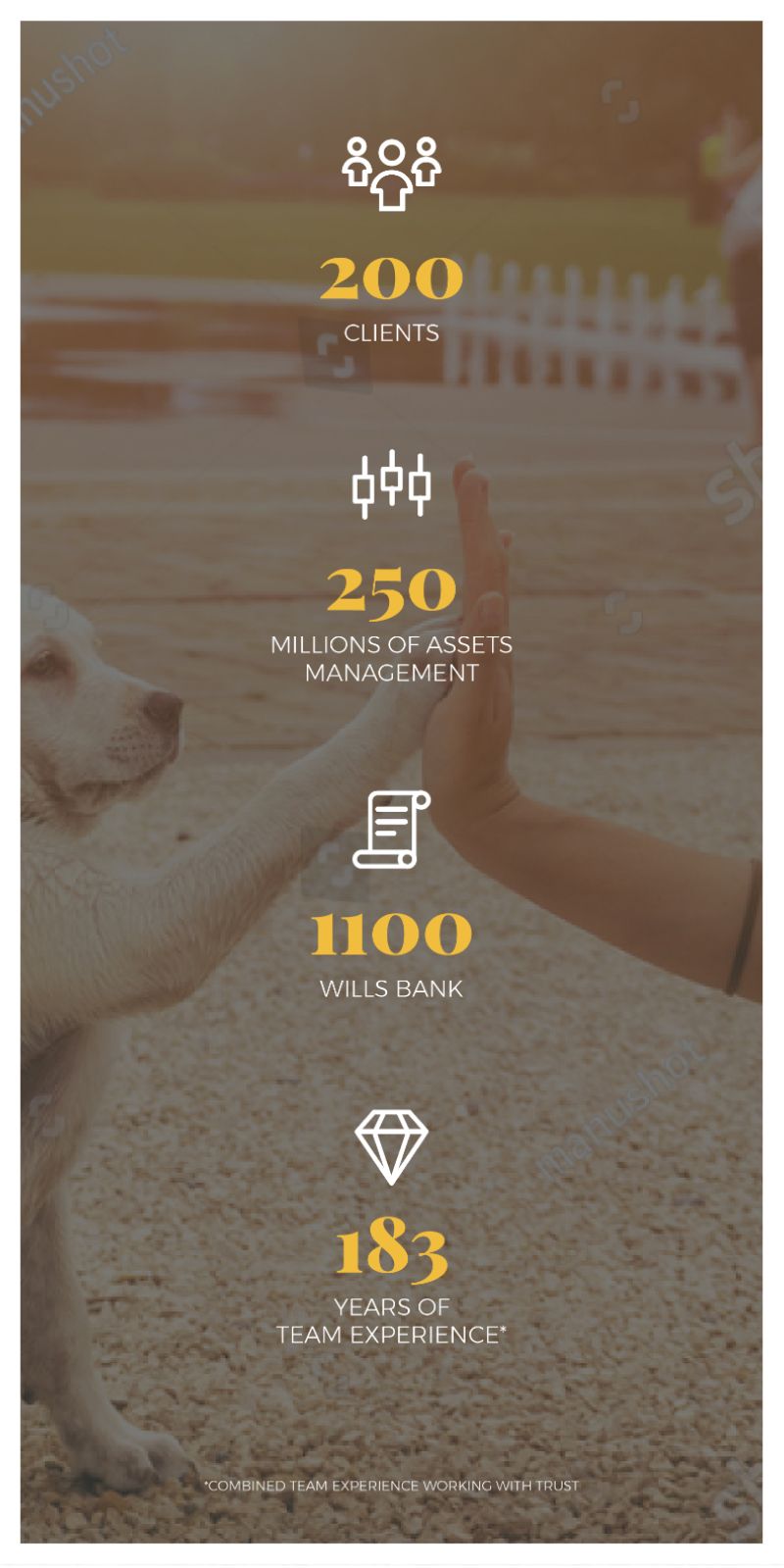 Solus Trust mobile version homepage