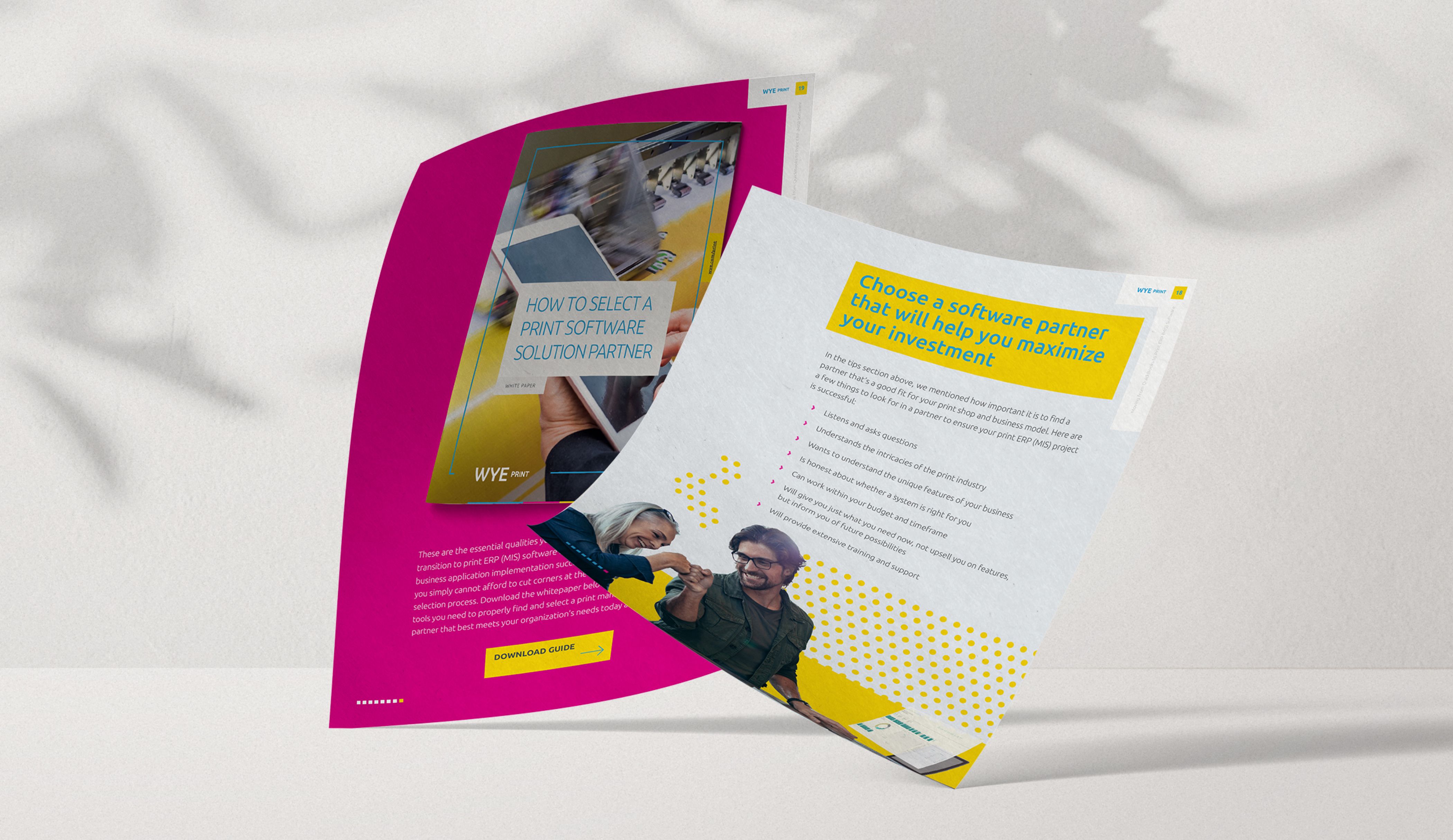 Highlight from the pages from Wye Print whitepaper