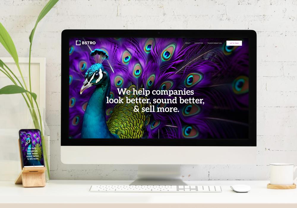 BSTRO website thumbnail